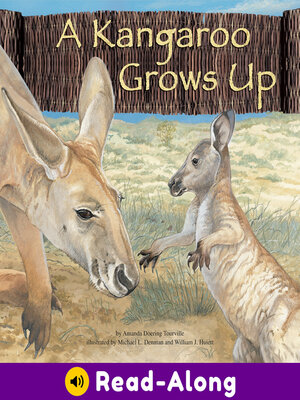 cover image of A Kangaroo Grows Up